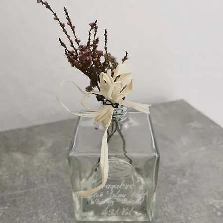 Worker's Apartmán Pols